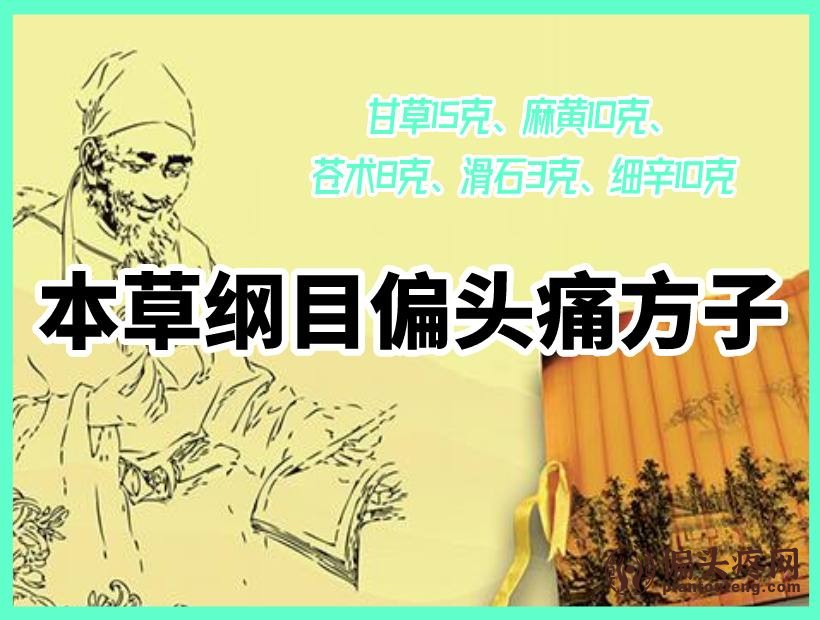 本草纲目治疗偏头痛